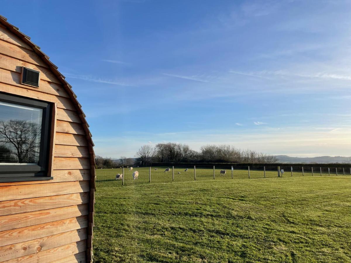 Abbey Farm Luxury Glamping Rhuddlan
