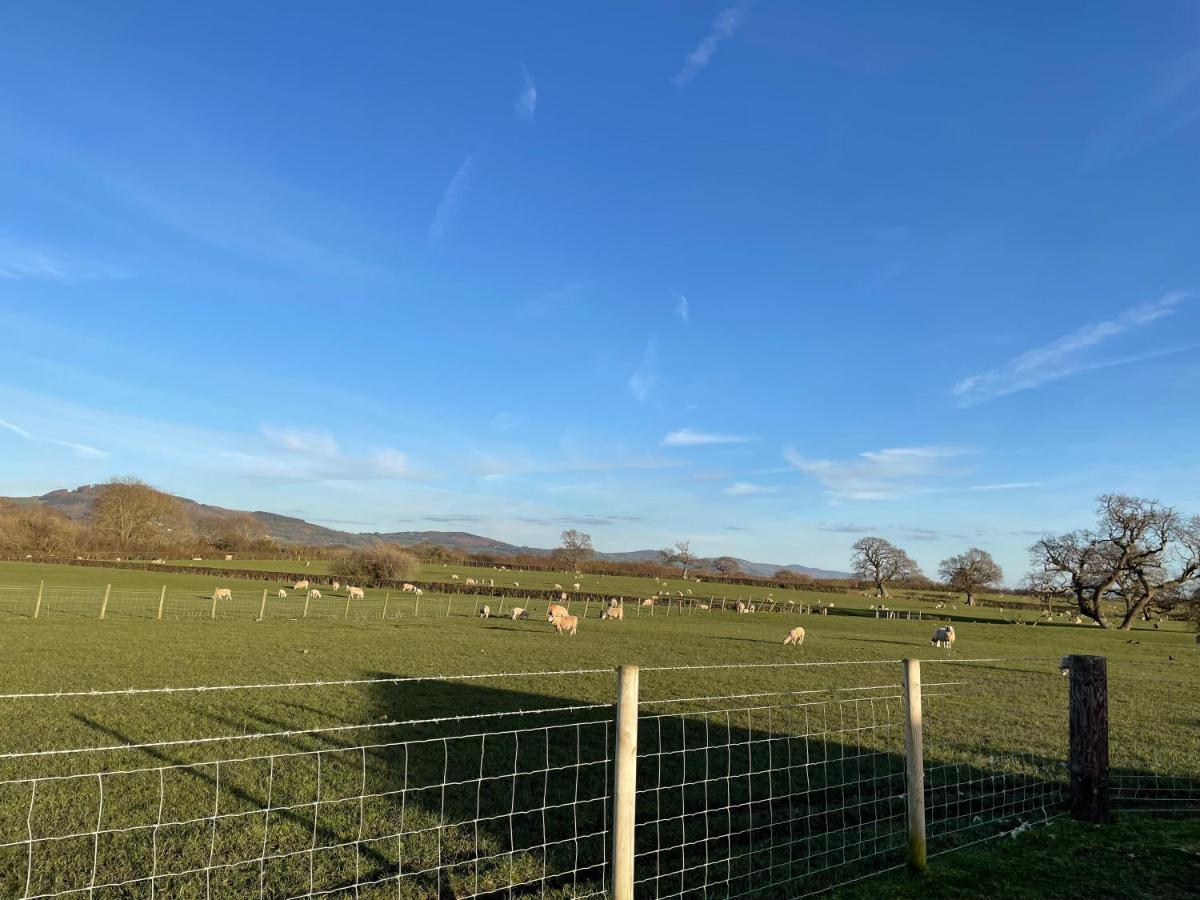 Campsite Abbey Farm Luxury Glamping Rhuddlan