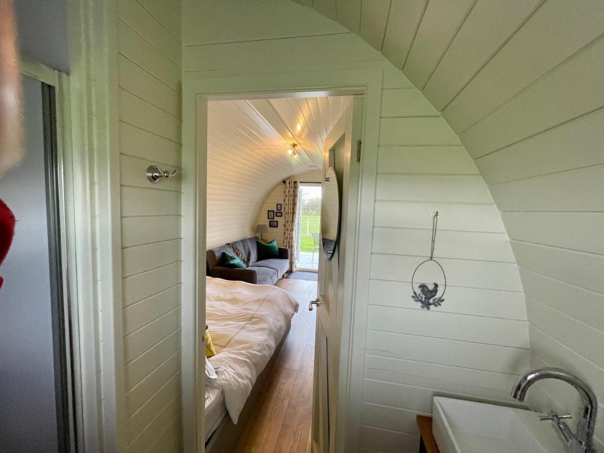 Abbey Farm Luxury Glamping Rhuddlan