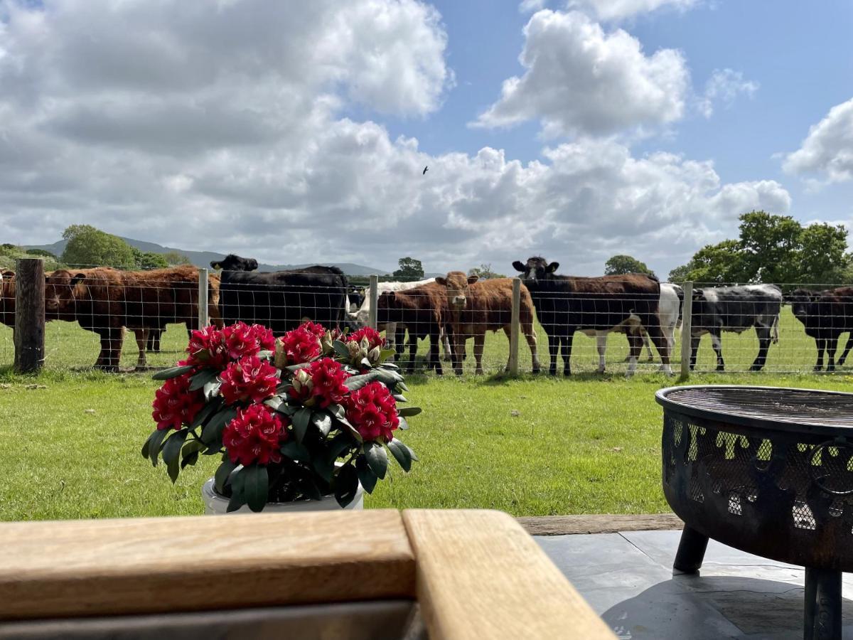 Abbey Farm Luxury Glamping Campsite Rhuddlan